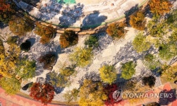 단풍 드는 섬진강기차마을