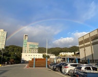 울산에 뜬 무지개