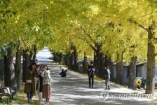 은행나무길 왔어요