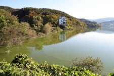 금광저수지 두 달 넘게 녹조…안성시, 수질 검사도 안 해