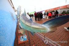 양양연어축제…눈길 끄는 연어 조형물