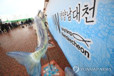 양양연어축제…눈길 끄는 연어 조형물