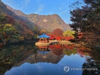 정읍시 내장산 단풍, 이번 주말부터 12일까지 절정 예상