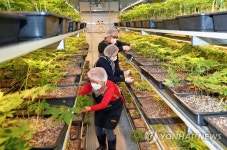 부산진구, 도시재생 스마트팜  첫 심봤다!