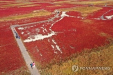 붉게 물든 태평염생식물원