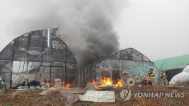 양구 토마토 비닐하우스 화재