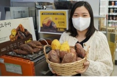농진청 우리 품종 소담미, 편의점 군고구마로 맛보세요
