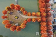 물감 찍어놓은 듯