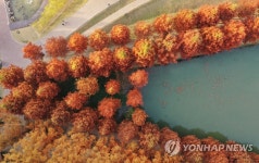 물감 찍어놓은 듯