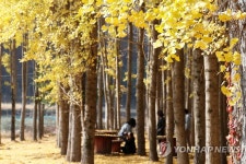 경주 도리마을 찾은 관광객