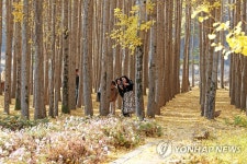 신이 난 관광객