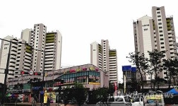 세종 도램마을 임대료 할증 감면…저소득 원주민 주거비부담↓