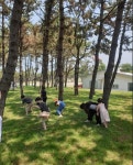 신안 임자 대광해수욕장 우수해수욕장 선정