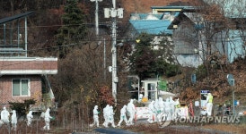 원주 산란계 농장에 투입되는 살처분 인력