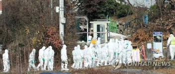 원주 산란계 농장에 투입되는 살처분 인력