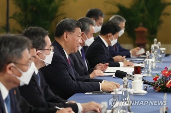 한중 정상회담 발언하는 시진핑 중국 국가주석