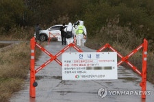 강진만·순천만 이어 장흥 오리 농장서 AI항원 검출