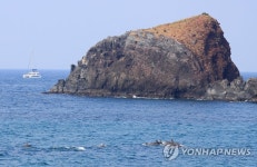 제주 앞바다 남방큰돌고래