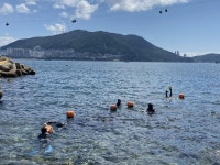 [부산소식] 기장군 수산자원연구센터, 어린 해삼 방류