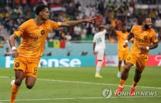 환호하는 학포
