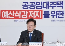 발언하는 이재명 대표