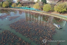 광주 양산호수공원 수초 제거