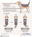 [그래픽] 개의 감정과 꼬리를 흔드는 방향