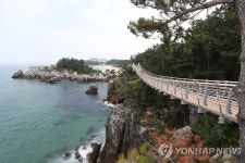 일출 관광지 동해 추암…야간 볼거리 풍성해진다