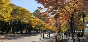 대구 두류공원 젊음의 거리, 상권 활성화 대상에 선정
