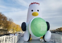 마카롱을 안고 있는 부산 갈매기 부기