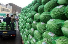 엄궁농산물도매시장, 사랑의 김장배추 나눔행사