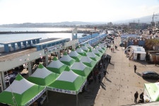 겨울철 별미 어종 도루묵·양미리 축제에 항·포구 활기
