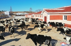 북한, 남포시 대안 젖소목장 준공
