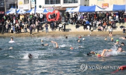 겨울 바다에 풍덩