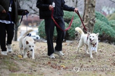 건강해 보이는 곰이·송강