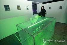프로젝트 팀 펄의 융복합 에술 프로젝트 당신의 현재 위치 - 더 도어