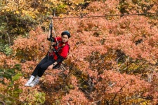 [여행honey] 산봉우리, 계곡, 숲 사이로 휙휙…짚라인