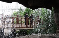 한겨울에 만나는 초록 세상