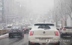 엉금엉금 서행하는 차량