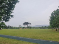 산불감시원 체력시험 뒤 숨진 60대 유족, 수성구청 상대 소송