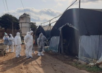 하동 오리농장 고병원성 AI 확진…올해 동절기 경남 두 번째