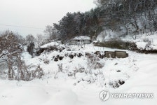 서천에 폭설