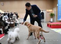 새롬이와 써니에게 간식 주는 윤석열 대통령