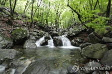 밀양의 신비 얼음골 구경 새해부터 무료…관람료 1천원 폐지