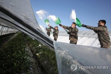 폭설 피해 농가 복구 지원하는 31사단 장병