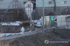 연천 산란계 농장에서 AI 항원 검출