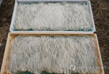 겨울이 만든 자연식품 한천