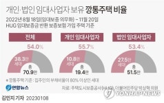 임대인 보증보험 가입주택 54%가 깡통주택…강서구는 79%