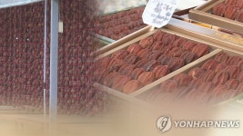 완주 곶감으로 설 준비하세요…고산 미소시장에 직거래 장터