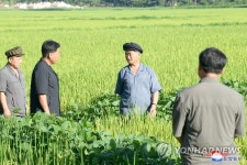 북한 식량·먹는 문제 국가중대사…올해 농사 매우 중요
